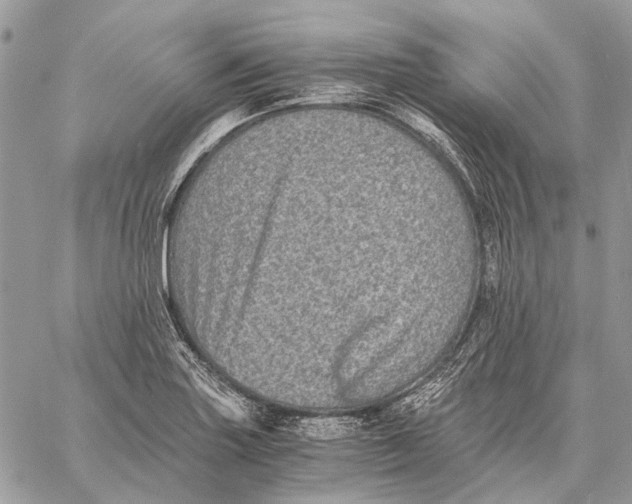 X0000058781227200510211740