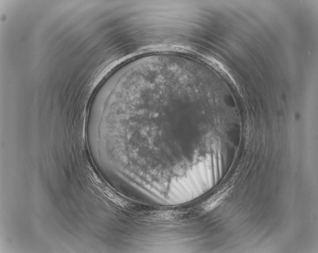 X0000058781228200510211740