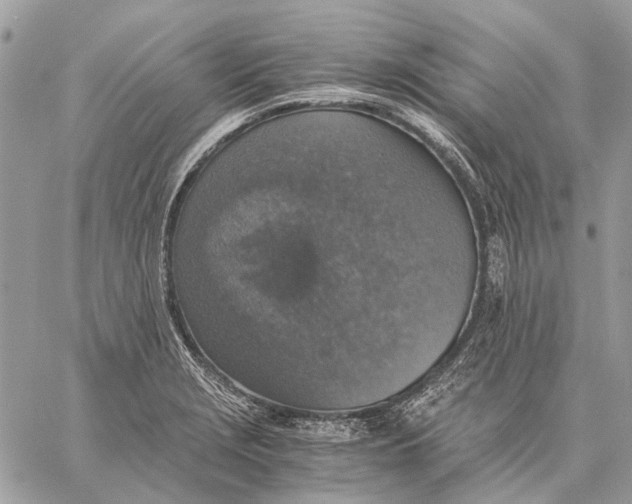 X0000058781229200510211740