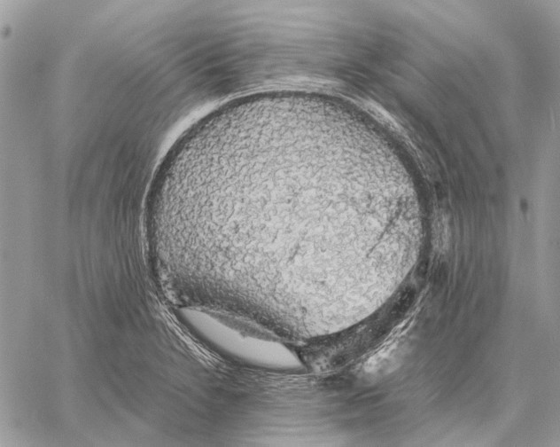 X0000058781230200510211740