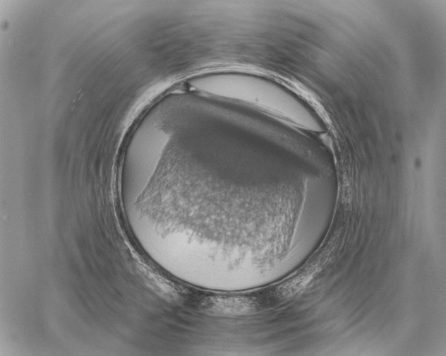 X0000058781231200510211740