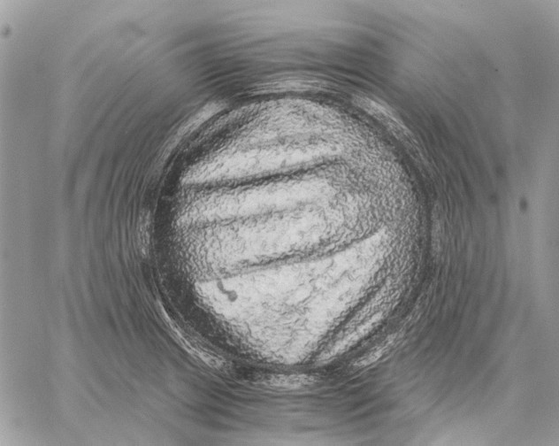 X0000058781233200510211740