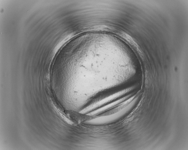 X0000058781234200510211740