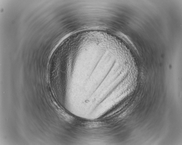 X0000058781236200510211740