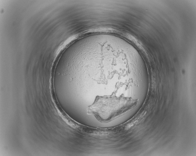 X0000058781237200510211740