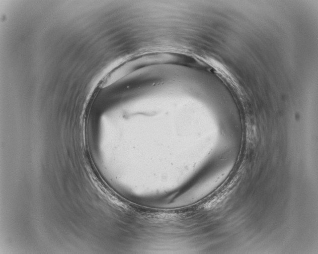 X0000058781238200510211740