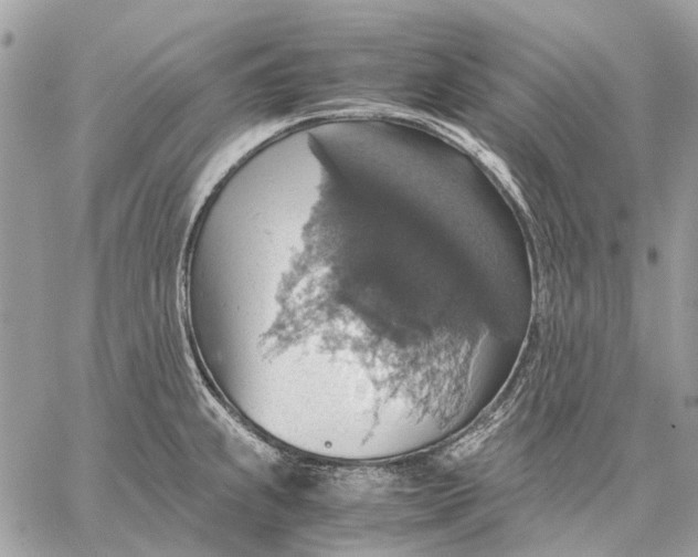 X0000058781239200510211740