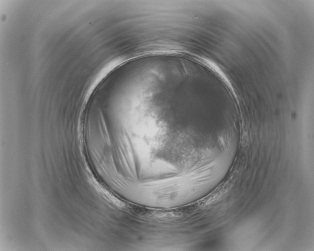 X0000058781243200510211740