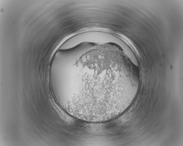 X0000058781244200510211740