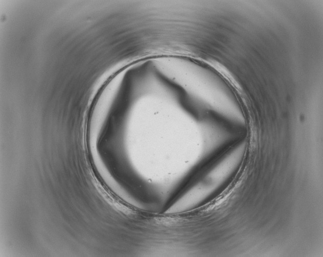 X0000058781246200510211740