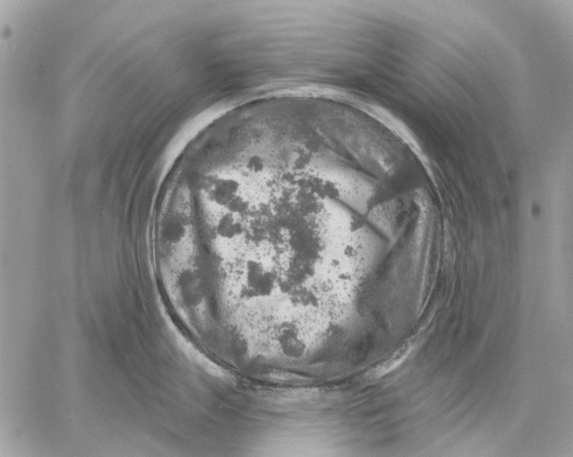 X0000058781247200510211740