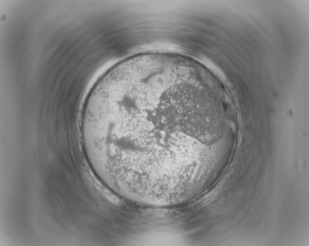 X0000058781248200510211740