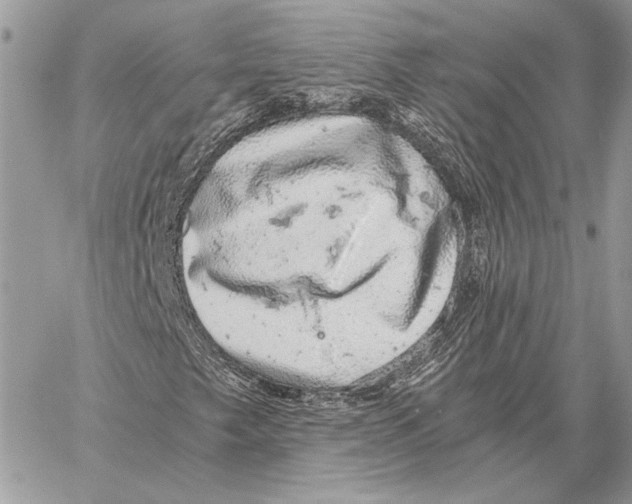 X0000058781249200510211739