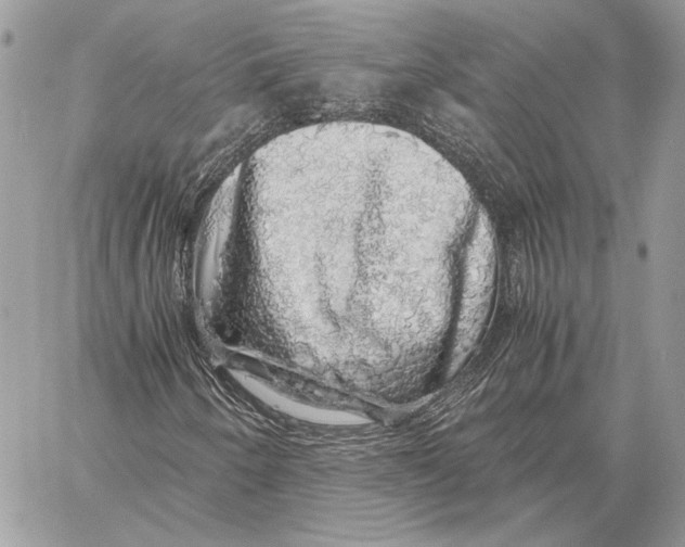 X0000058781250200510211739