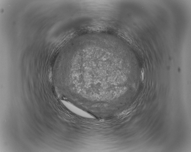 X0000058781251200510211739