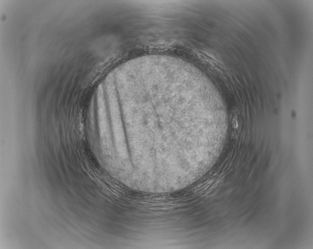 X0000058781252200510211739