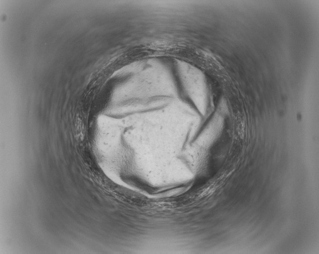 X0000058781253200510211739