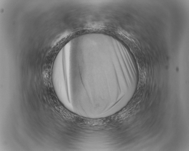 X0000058781254200510211739