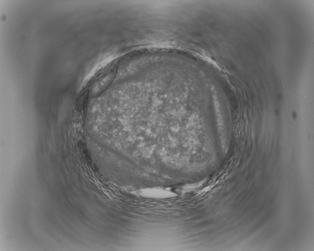 X0000058781255200510211739