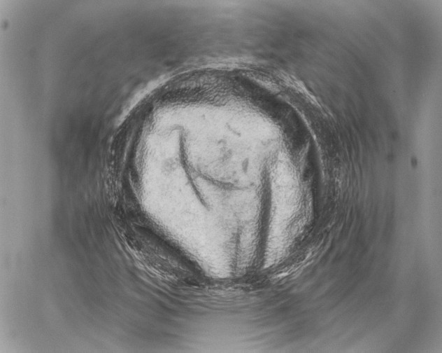 X0000058781256200510211739