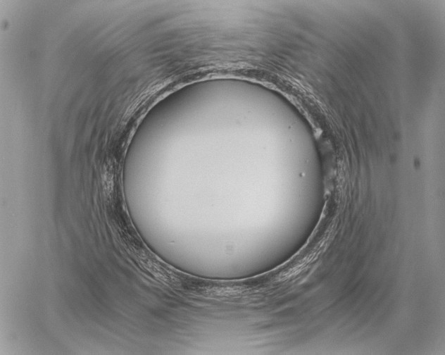 X0000058781257200510211739