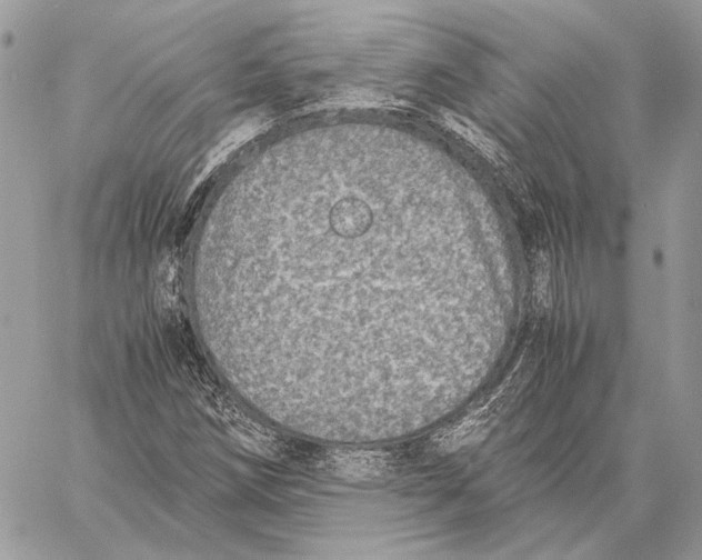 X0000058781258200510211739