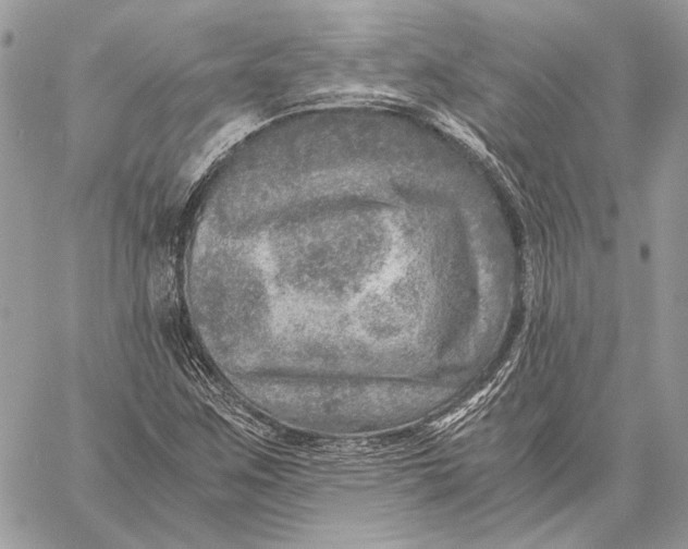 X0000058781259200510211739