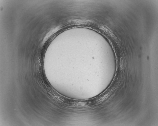 X0000058781261200510211739