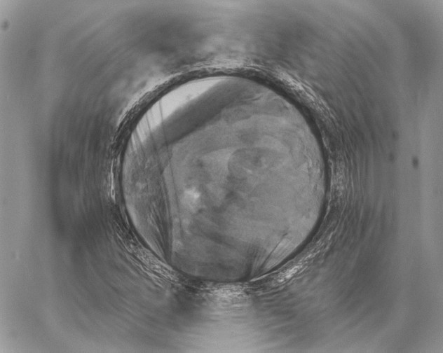 X0000058781262200510211739