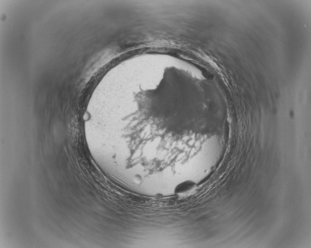 X0000058781263200510211739