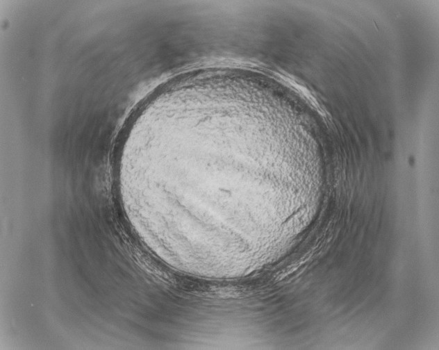 X0000058781264200510211739