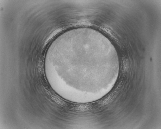 X0000058781266200510211739