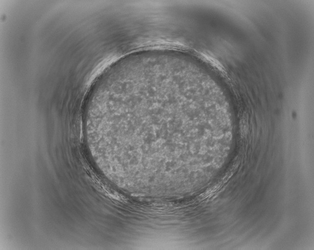 X0000058781267200510211739