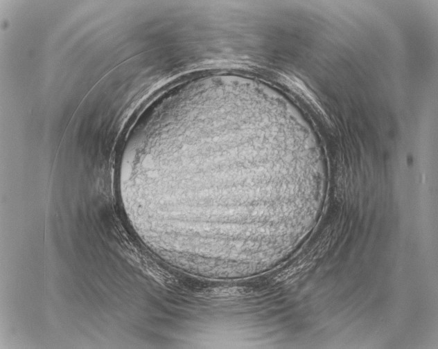 X0000058781268200510211739