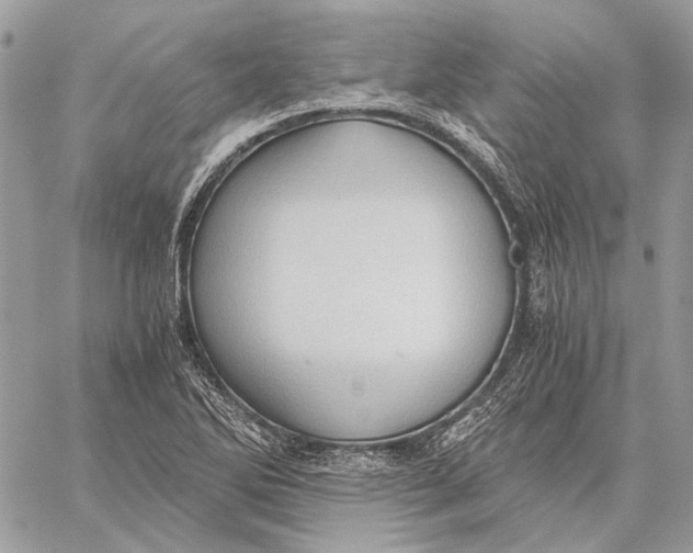 X0000058781270200510211739