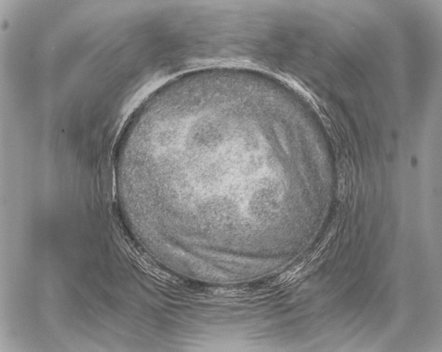 X0000058781271200510211739