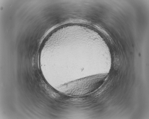 X0000058781272200510211739