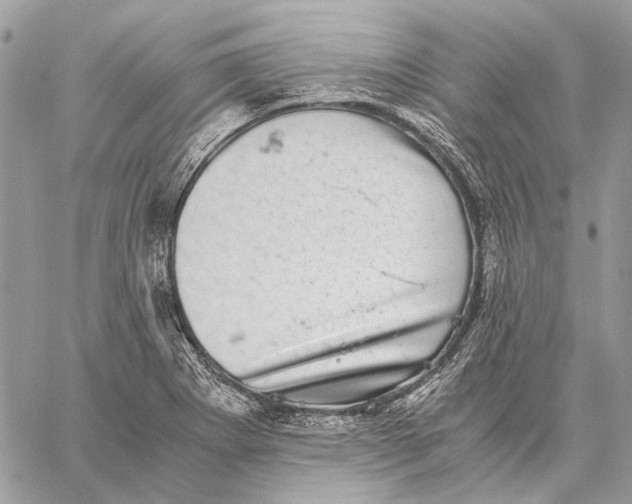 X0000058781273200510211739