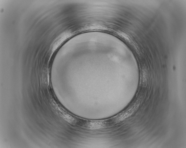 X0000058781274200510211739