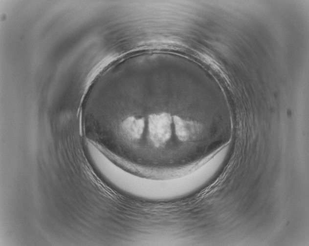 X0000058781275200510211739