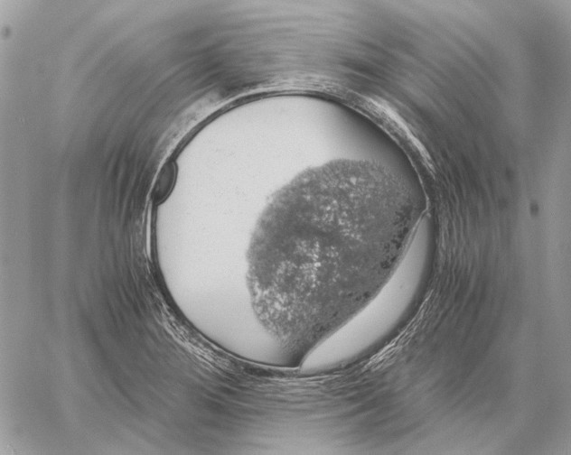 X0000058781276200510211739