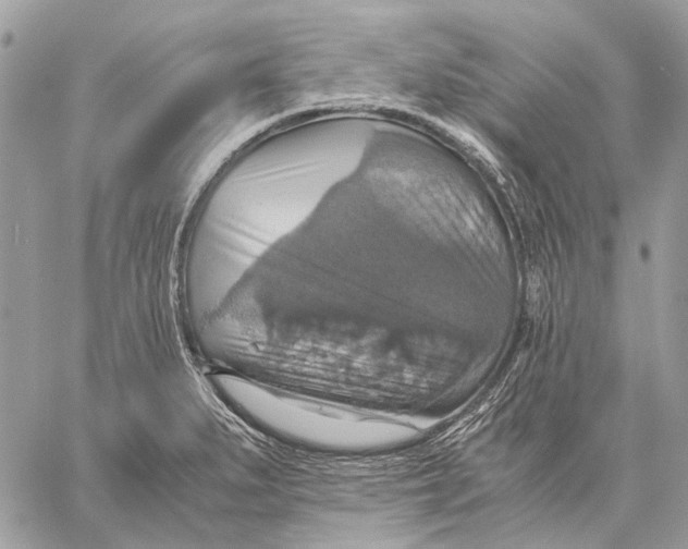 X0000058781279200510211739