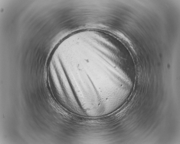 X0000058781280200510211739