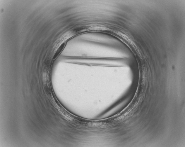 X0000058781281200510211739