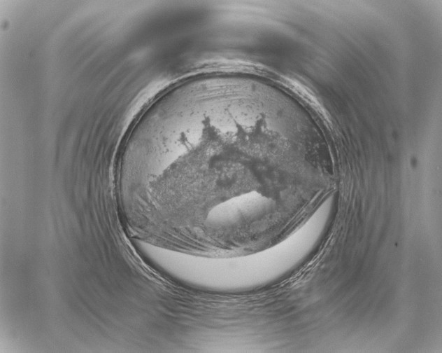 X0000058781283200510211739