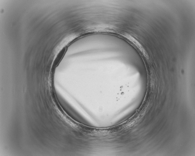 X0000058781285200510211739