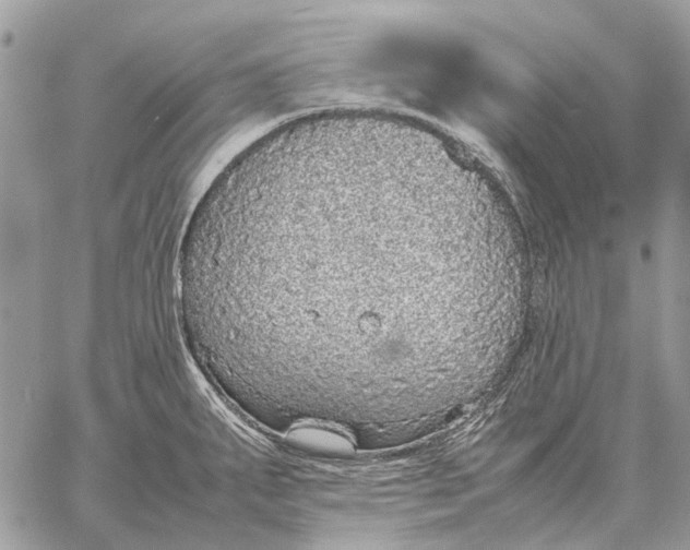 X0000058781287200510211739