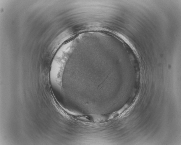 X0000058781289200510211739