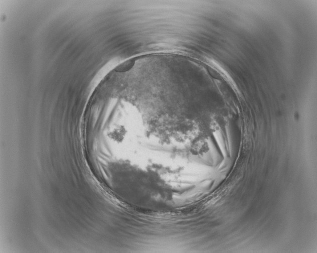 X0000058781291200510211739