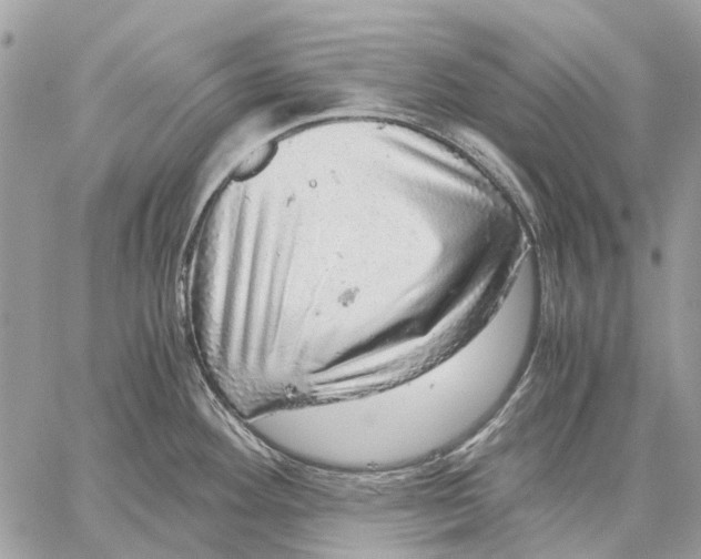 X0000058781292200510211738